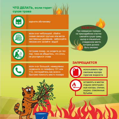 Безымянный1